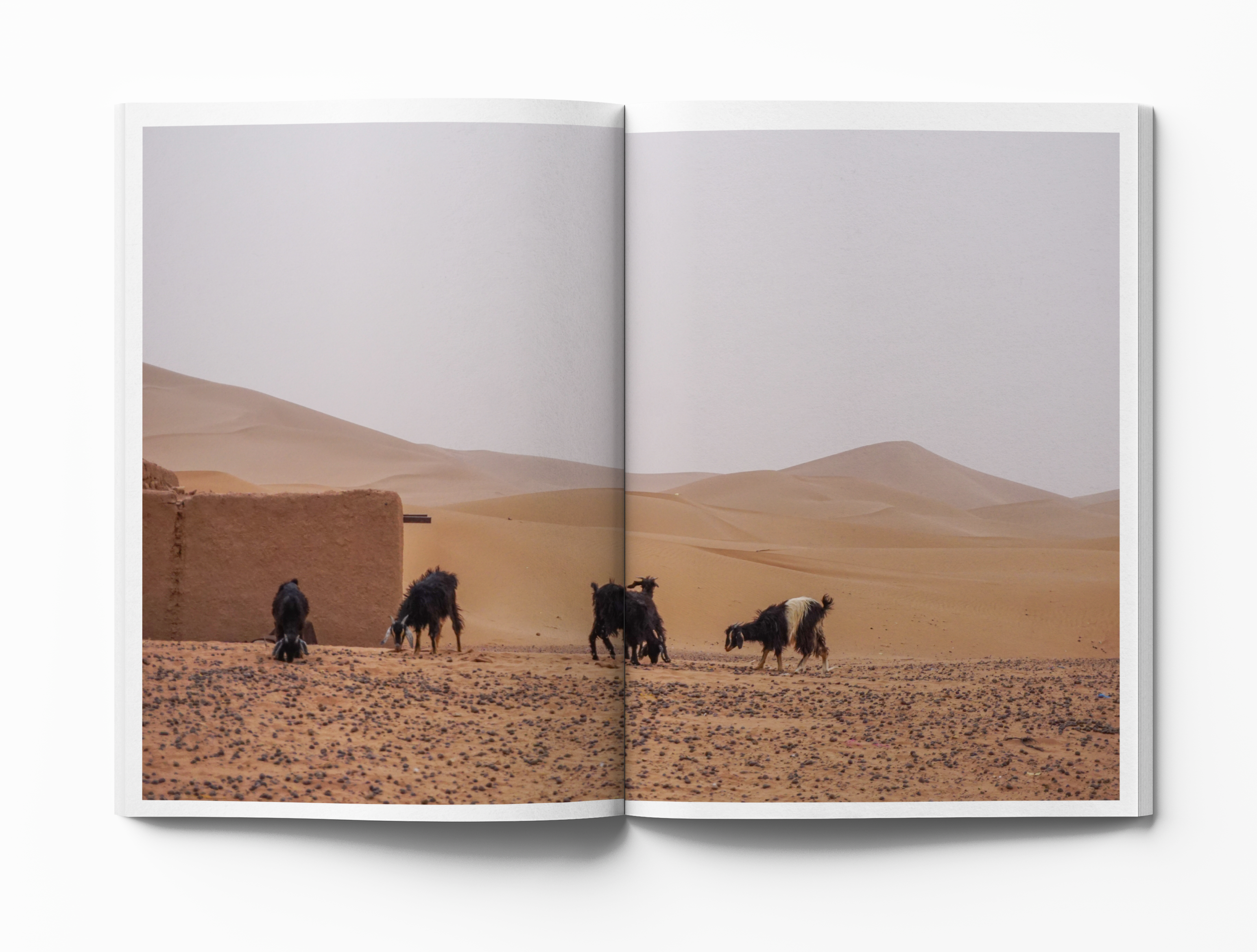 Morocco Photo book Mockup page 145-146